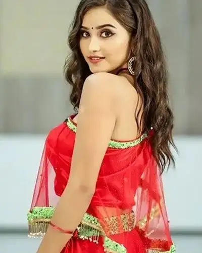 Call Girls Service Jaggayyapet